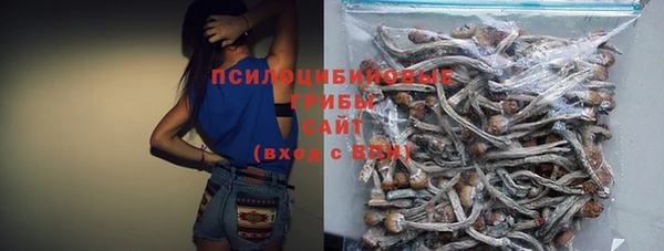 стафф Магас