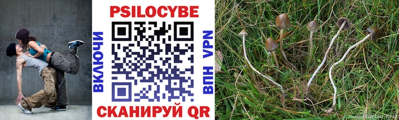 Псилоцибиновые грибы Psilocybine cubensis  Купить  Фокино 